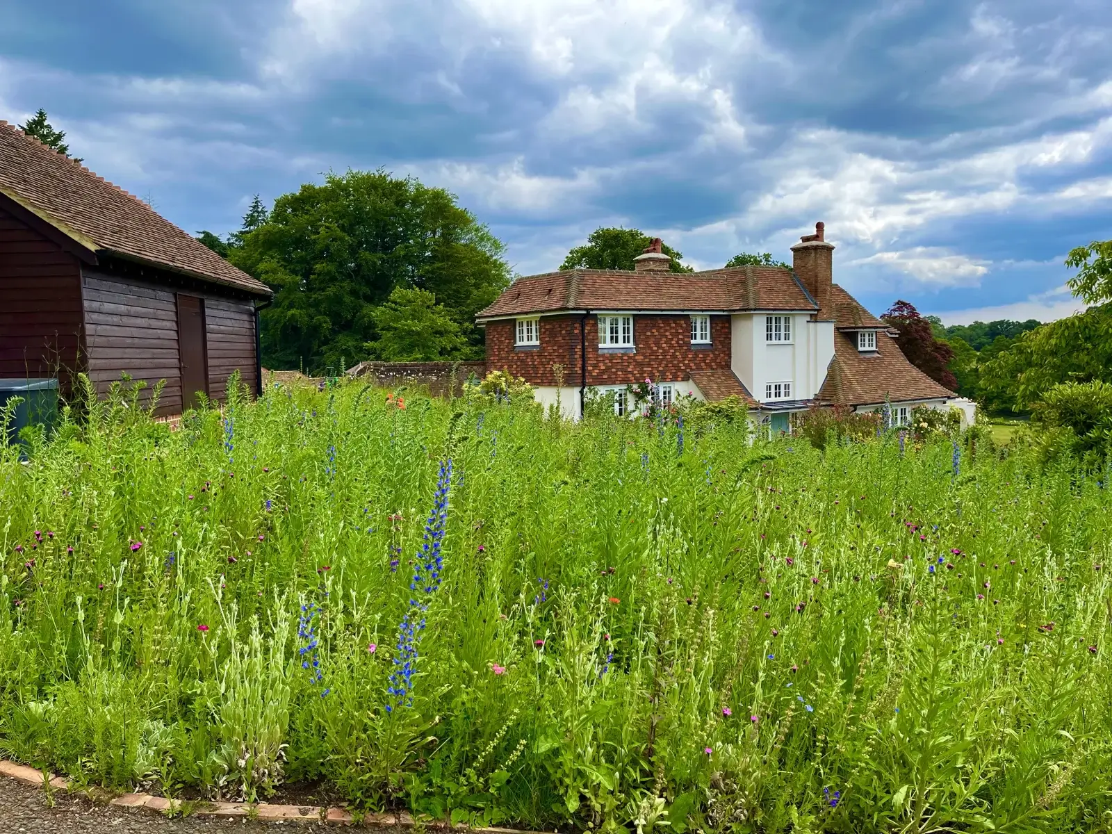 Wildflower meadow design surrounding country house — landscape designer integrating biodiversity and seasonal interest into refined garden design.